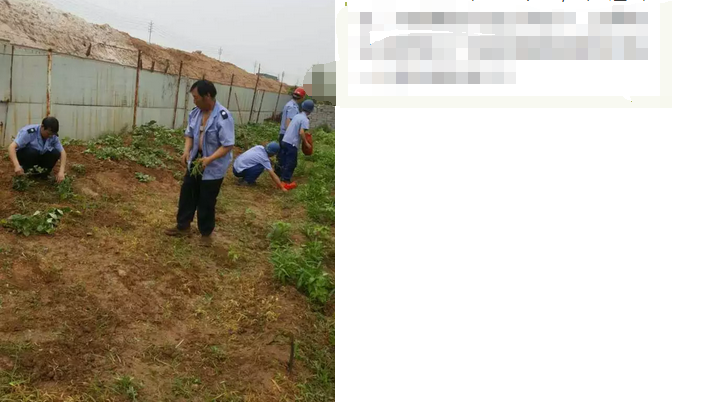 员工冒雨参加义务劳动！感动———伟志钢模板厂家